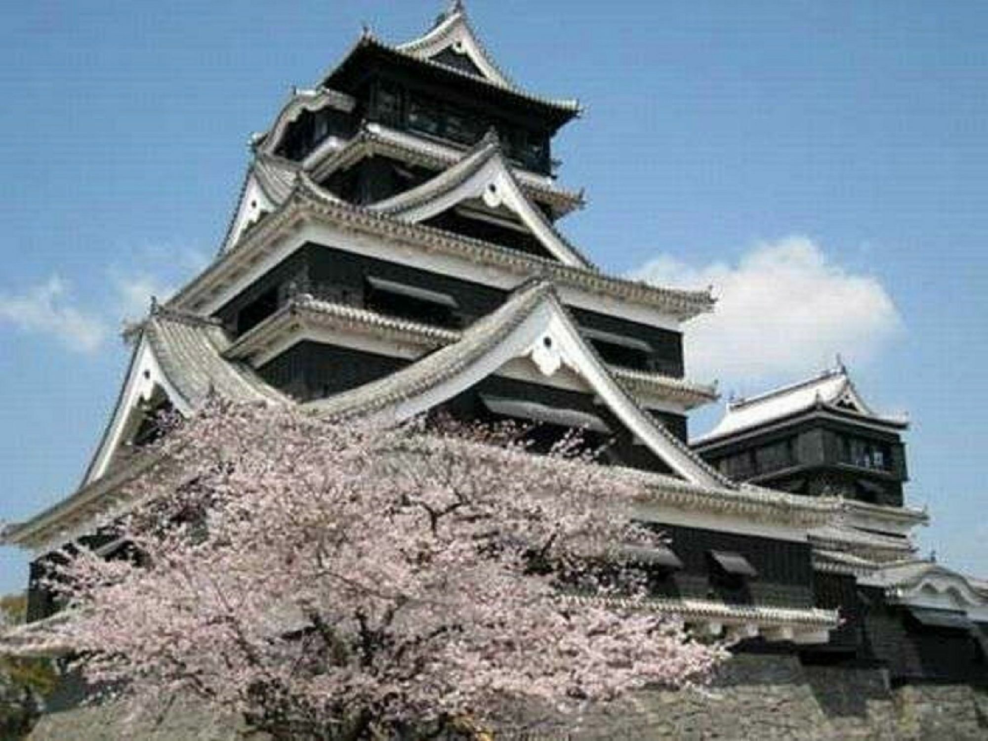 Apa Hotel Kumamoto Sakuramachi Bus Terminal Minami Экстерьер фото